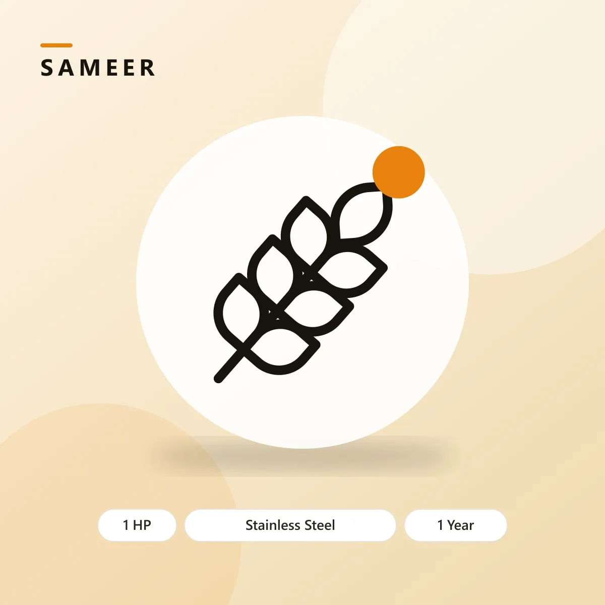 Sameer Domestic Flour Mill 1HP with Stainless Steel Body